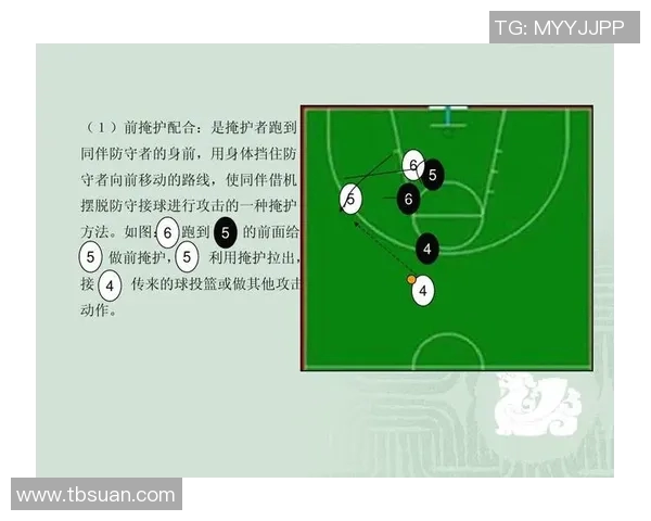 边锋篮球明星阵容全解析揭秘顶尖球员的精彩表现与战术配合